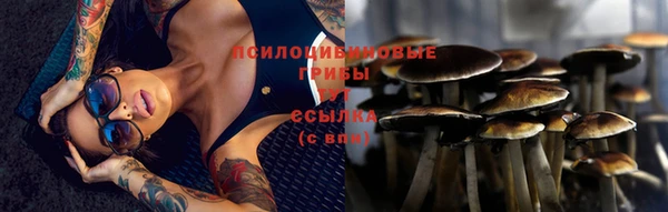 ПСИЛОЦИБИНОВЫЕ ГРИБЫ Алексеевка